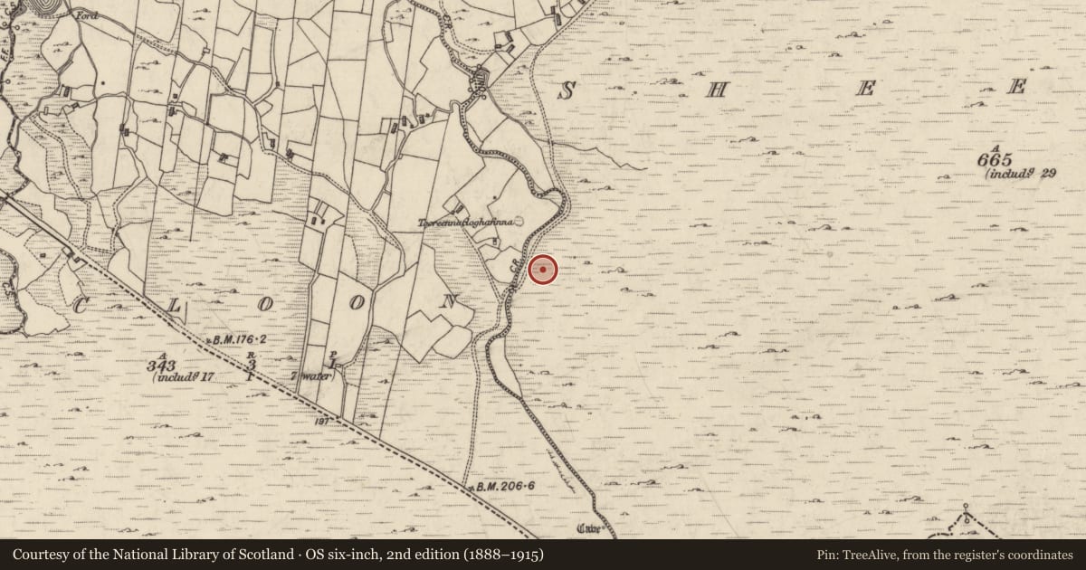 Ordnance Survey six-inch map, 2nd edition (1888–1915) covering the location of Field boundary, Sheeauns, County Galway, with a pin at the register's coordinates