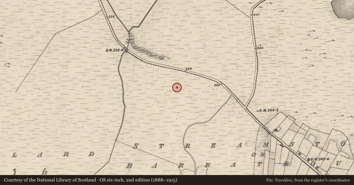 Ordnance Survey six-inch map, 2nd edition (1888–1915) covering the location of Standing stone, Streamstown Or Barratrough, County Galway, with a pin at the register's coordinates
