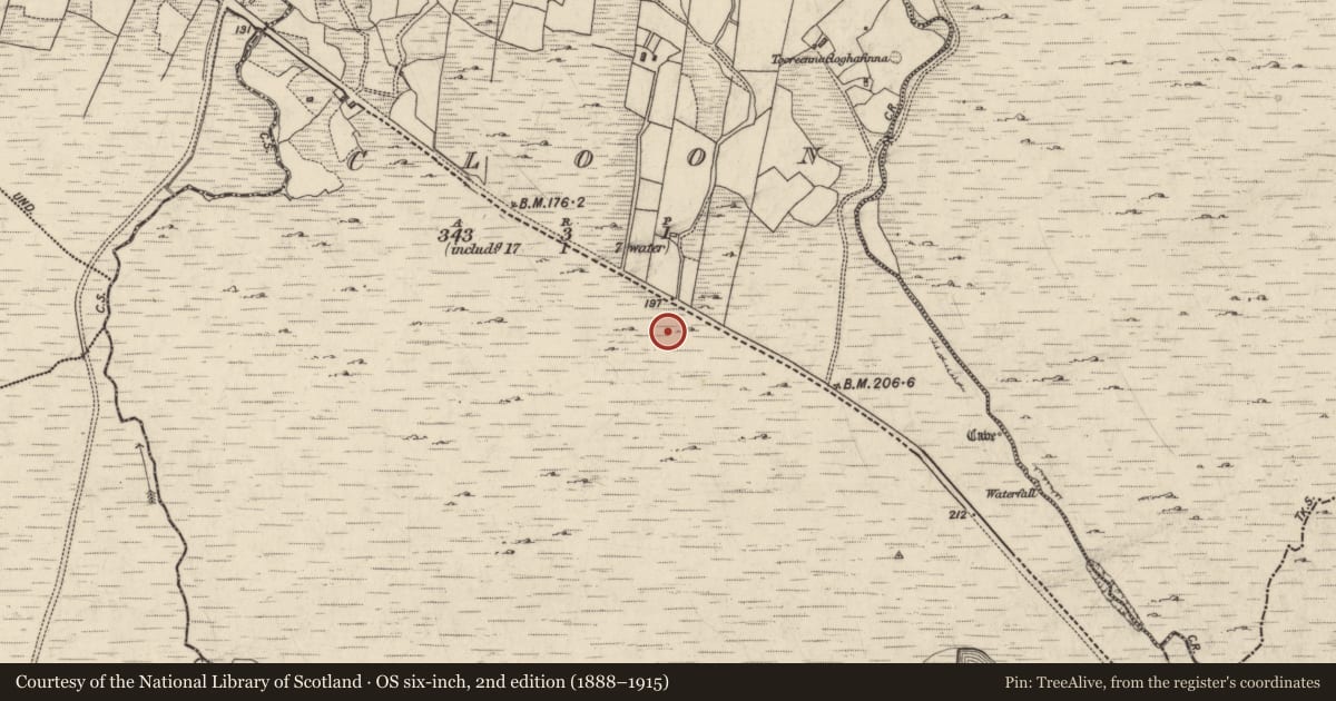 Ordnance Survey six-inch map, 2nd edition (1888–1915) covering the location of Field boundary, An Cluain, County Galway, with a pin at the register's coordinates