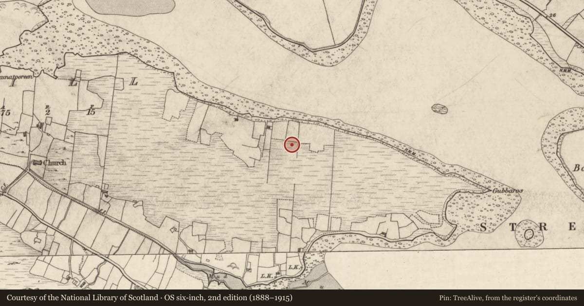 Ordnance Survey six-inch map, 2nd edition (1888–1915) covering the location of Field boundary, Kill (Omey Par.), County Galway, with a pin at the register's coordinates
