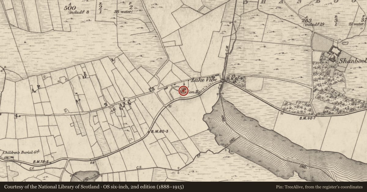 Ordnance Survey six-inch map, 2nd edition (1888–1915) covering the location of Ringfort - rath, Ballynew, County Galway, with a pin at the register's coordinates