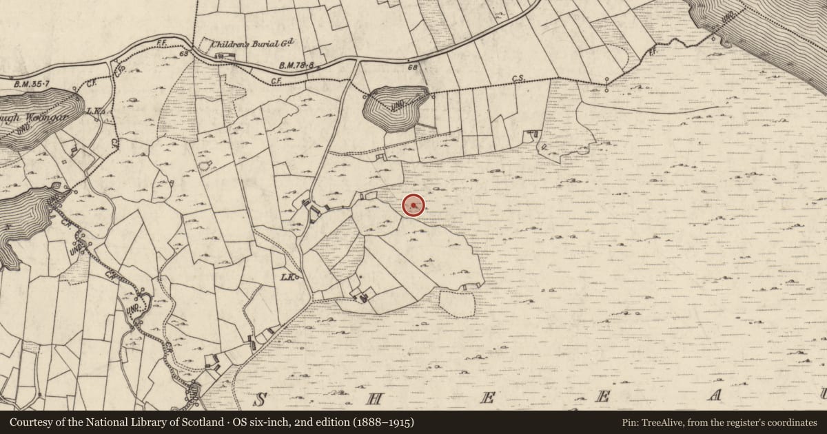 Ordnance Survey six-inch map, 2nd edition (1888–1915) covering the location of House - indeterminate date, Sheeauns, County Galway, with a pin at the register's coordinates