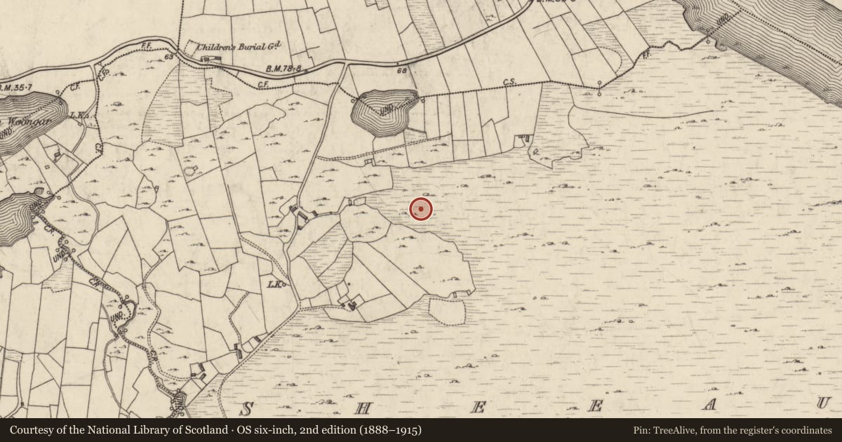Ordnance Survey six-inch map, 2nd edition (1888–1915) covering the location of House - indeterminate date, Sheeauns, County Galway, with a pin at the register's coordinates