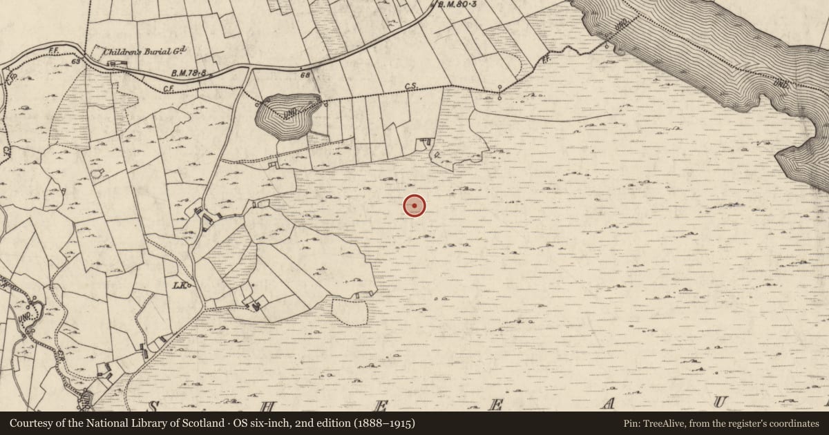 Ordnance Survey six-inch map, 2nd edition (1888–1915) covering the location of House - indeterminate date, Sheeauns, County Galway, with a pin at the register's coordinates
