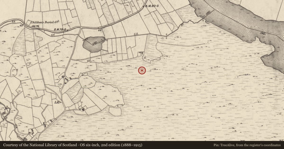Ordnance Survey six-inch map, 2nd edition (1888–1915) covering the location of House - indeterminate date, Sheeauns, County Galway, with a pin at the register's coordinates