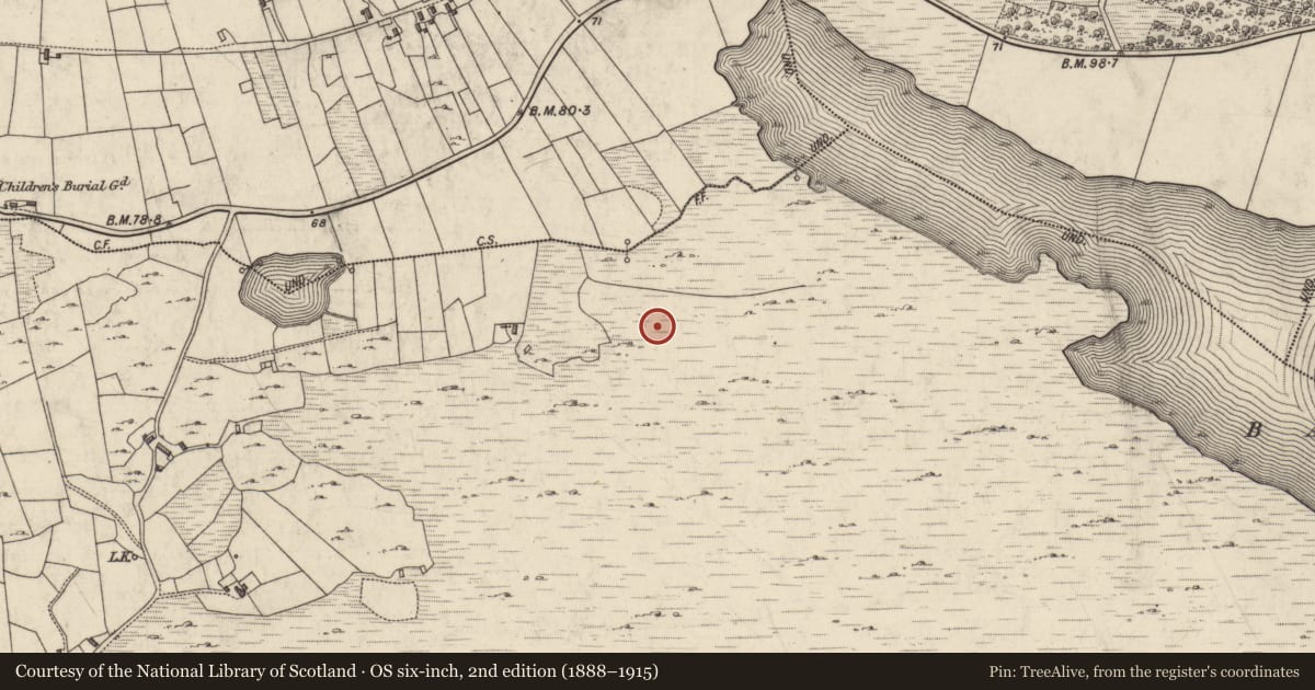 Ordnance Survey six-inch map, 2nd edition (1888–1915) covering the location of House - indeterminate date, Sheeauns, County Galway, with a pin at the register's coordinates