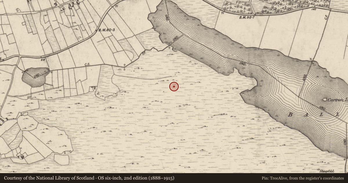 Ordnance Survey six-inch map, 2nd edition (1888–1915) covering the location of House - indeterminate date, Sheeauns, County Galway, with a pin at the register's coordinates