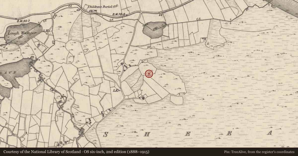 Ordnance Survey six-inch map, 2nd edition (1888–1915) covering the location of House - indeterminate date, Sheeauns, County Galway, with a pin at the register's coordinates