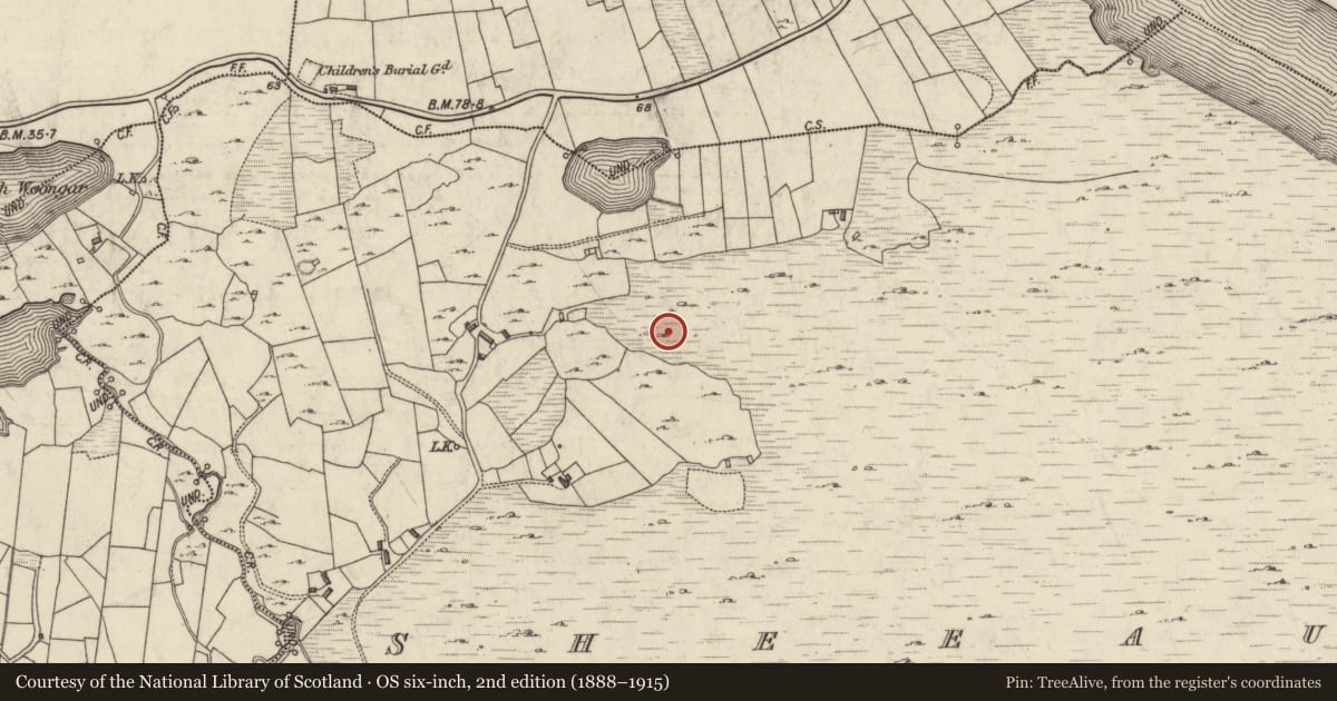 Ordnance Survey six-inch map, 2nd edition (1888–1915) covering the location of House - indeterminate date, Sheeauns, County Galway, with a pin at the register's coordinates