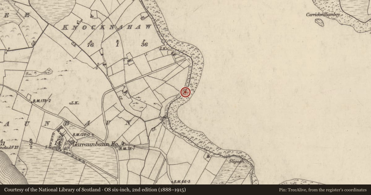 Ordnance Survey six-inch map, 2nd edition (1888–1915) covering the location of Stone row, Knocknahaw, County Galway, with a pin at the register's coordinates