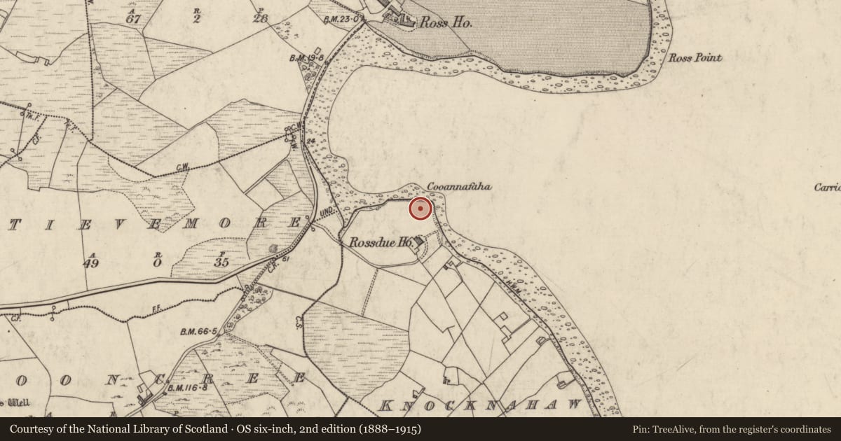 Ordnance Survey six-inch map, 2nd edition (1888–1915) covering the location of Megalithic tomb - unclassified, Knocknahaw, County Galway, with a pin at the register's coordinates