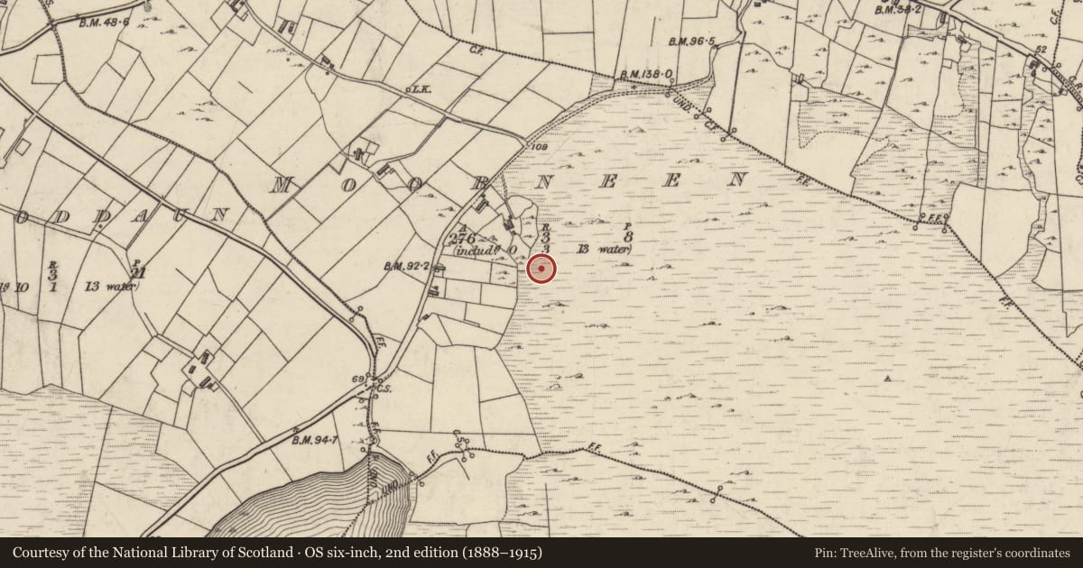 Ordnance Survey six-inch map, 2nd edition (1888–1915) covering the location of Megalithic tomb - unclassified, Moorneen, County Galway, with a pin at the register's coordinates