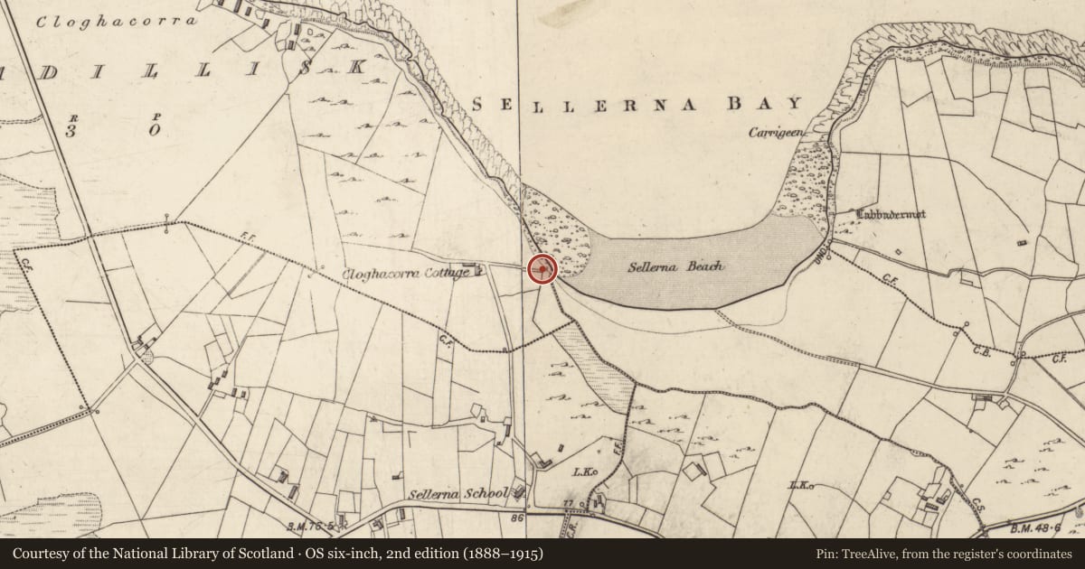 Ordnance Survey six-inch map, 2nd edition (1888–1915) covering the location of Midden, Rossadillisk, County Galway, with a pin at the register's coordinates