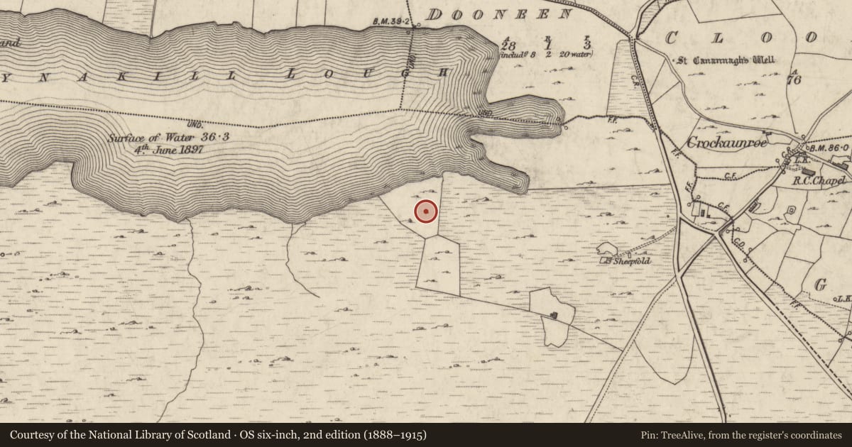 Ordnance Survey six-inch map, 2nd edition (1888–1915) covering the location of Enclosure, Tooreen (Ballynahinch By., Ballynakill Par.), County Galway, with a pin at the register's coordinates