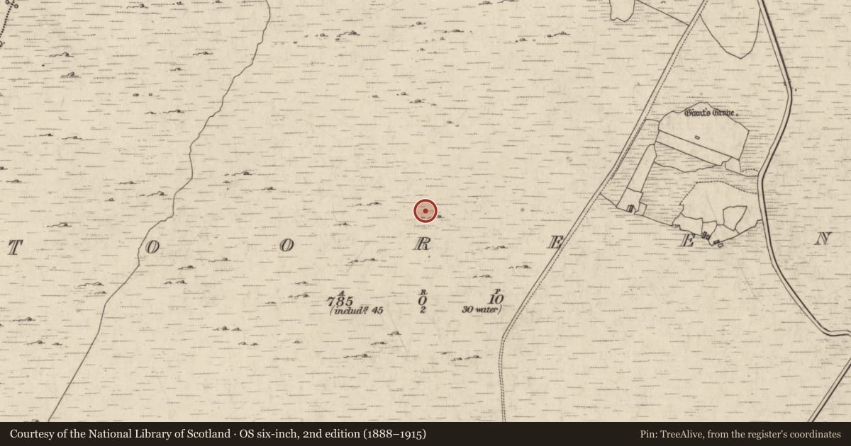 Ordnance Survey six-inch map, 2nd edition (1888–1915) covering the location of Enclosure, Tooreen (Ballynahinch By., Ballynakill Par.), County Galway, with a pin at the register's coordinates