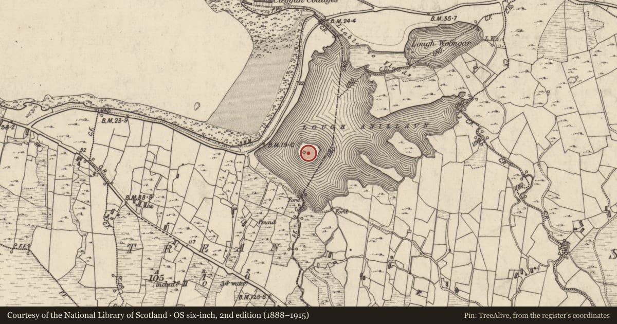Ordnance Survey six-inch map, 2nd edition (1888–1915) covering the location of Ringfort - cashel, Trean, County Galway, with a pin at the register's coordinates