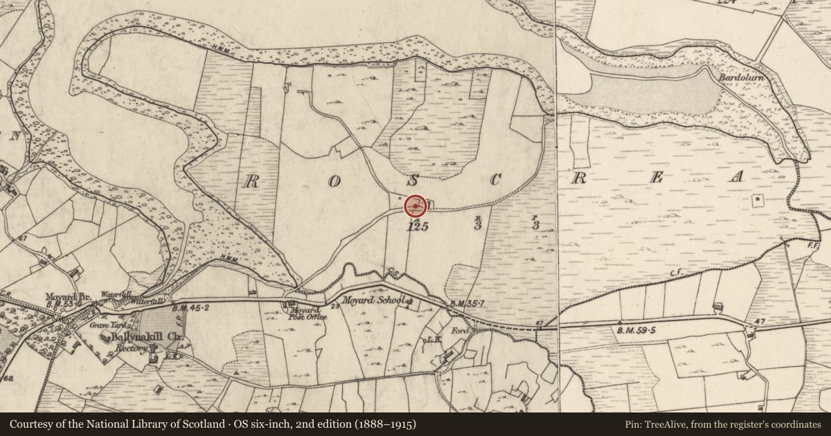 Ordnance Survey six-inch map, 2nd edition (1888–1915) covering the location of Fulacht fia, Roscrea, County Galway, with a pin at the register's coordinates