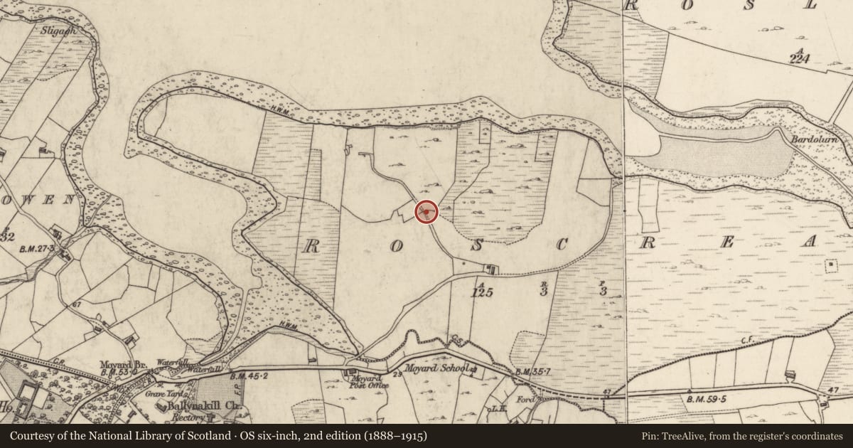 Ordnance Survey six-inch map, 2nd edition (1888–1915) covering the location of Fulacht fia, Roscrea, County Galway, with a pin at the register's coordinates
