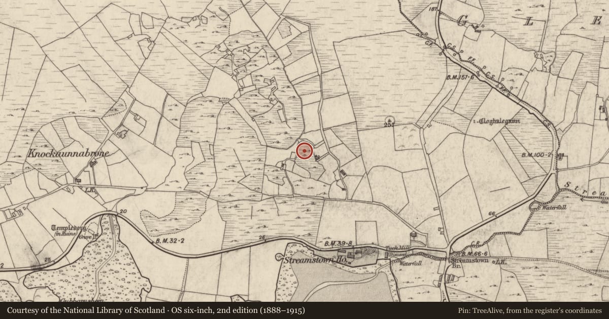 Ordnance Survey six-inch map, 2nd edition (1888–1915) covering the location of Ringfort - cashel, Streamstown Or Barratrough, County Galway, with a pin at the register's coordinates