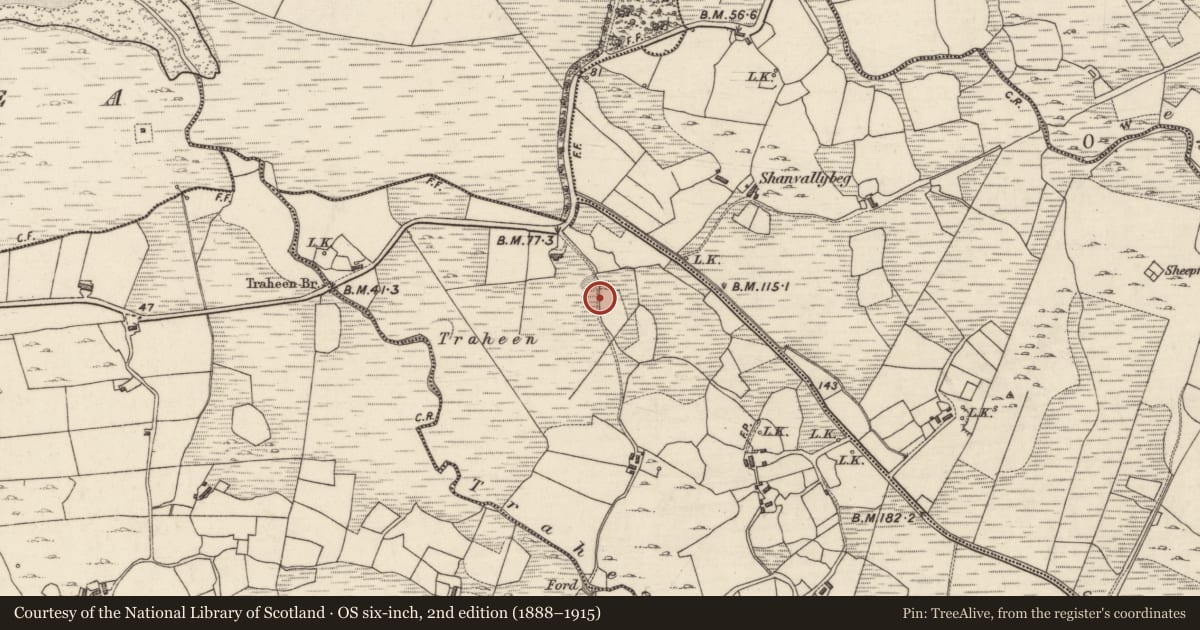 Ordnance Survey six-inch map, 2nd edition (1888–1915) covering the location of Field boundary, Attirowerty, County Galway, with a pin at the register's coordinates