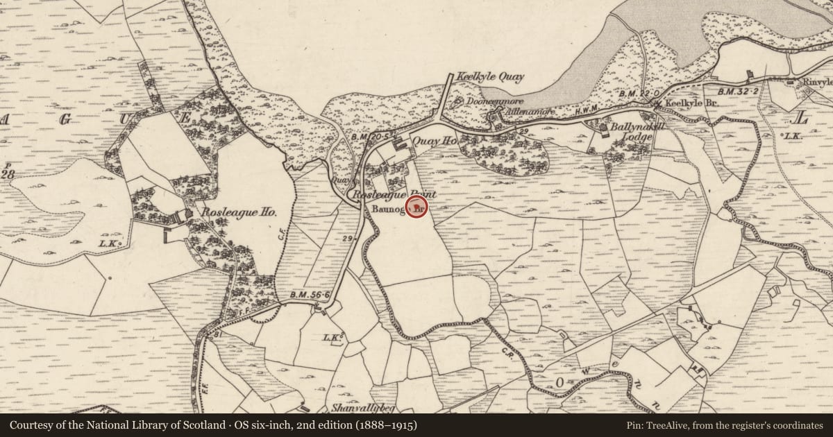 Ordnance Survey six-inch map, 2nd edition (1888–1915) covering the location of Standing stone, Keelkyle, County Galway, with a pin at the register's coordinates