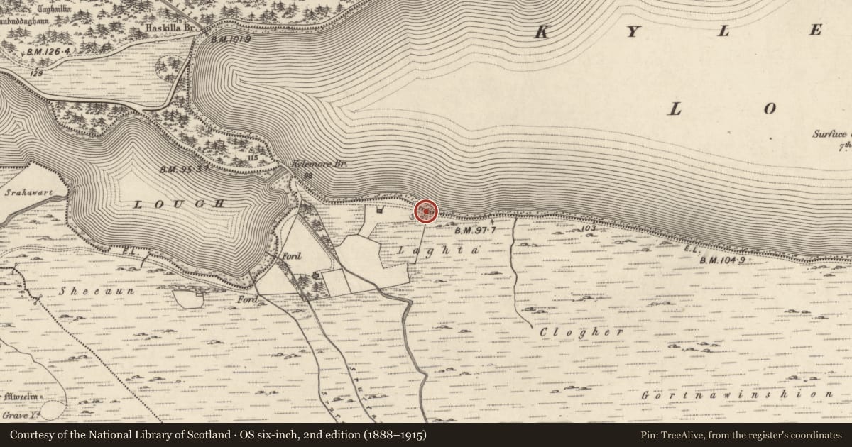 Ordnance Survey six-inch map, 2nd edition (1888–1915) covering the location of Cairn - wayside cairn, Kylemore, County Galway, with a pin at the register's coordinates