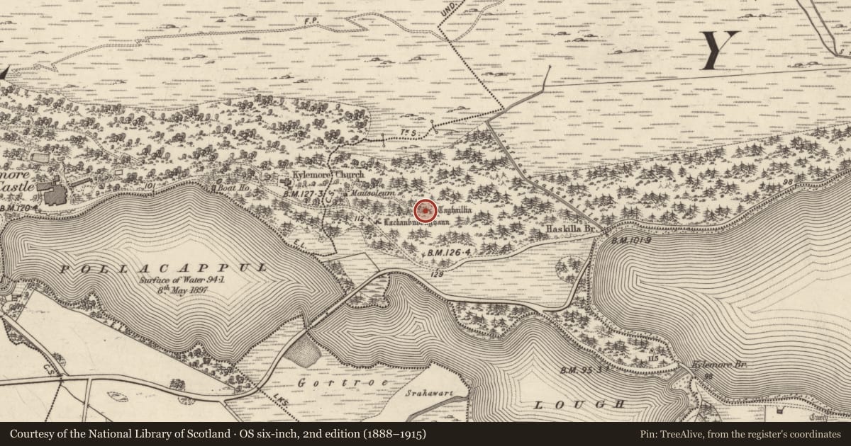 Ordnance Survey six-inch map, 2nd edition (1888–1915) covering the location of Rock art, Lemnaheltia, County Galway, with a pin at the register's coordinates