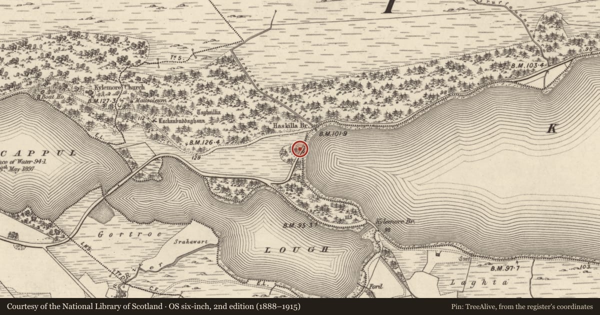 Ordnance Survey six-inch map, 2nd edition (1888–1915) covering the location of House - 18th/19th century, Lemnaheltia, County Galway, with a pin at the register's coordinates