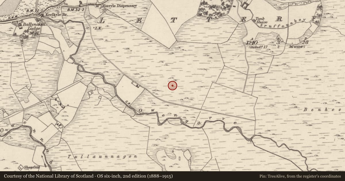 Ordnance Survey six-inch map, 2nd edition (1888–1915) covering the location of Megalithic tomb - court tomb, Letterfrack, County Galway, with a pin at the register's coordinates
