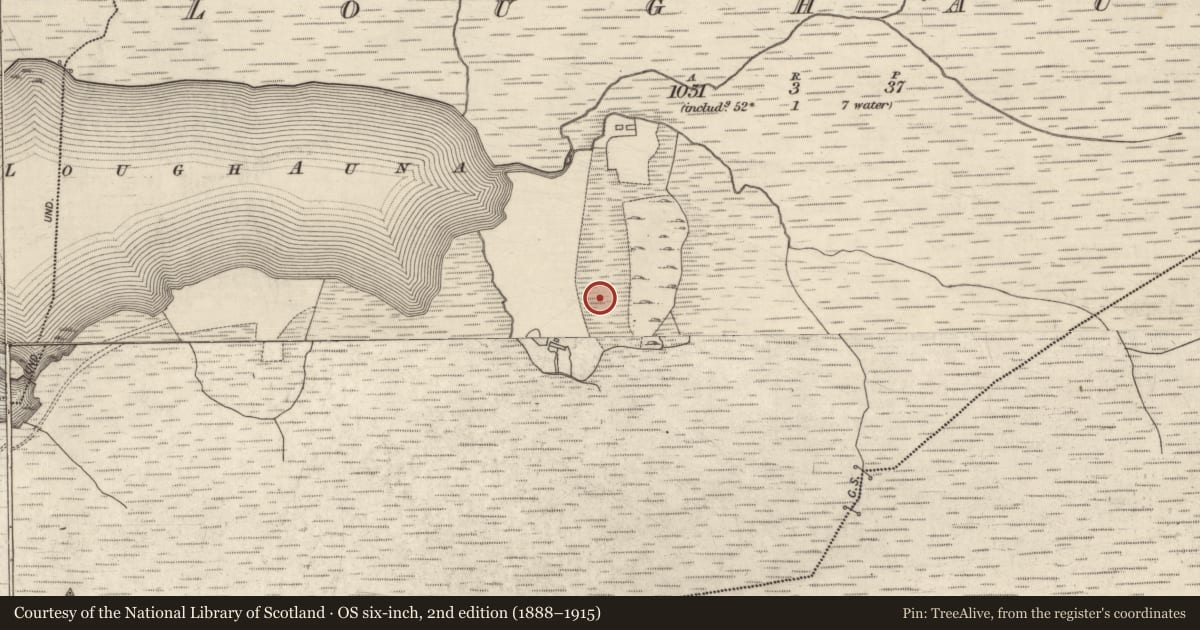 Ordnance Survey six-inch map, 2nd edition (1888–1915) covering the location of Megalithic tomb - unclassified, Loughauna, County Galway, with a pin at the register's coordinates