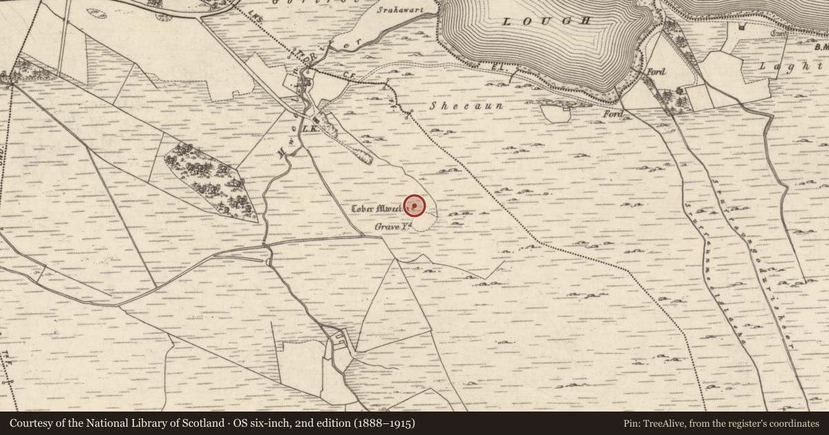 Ordnance Survey six-inch map, 2nd edition (1888–1915) covering the location of Ritual site - holy well, Mweelin, County Galway, with a pin at the register's coordinates