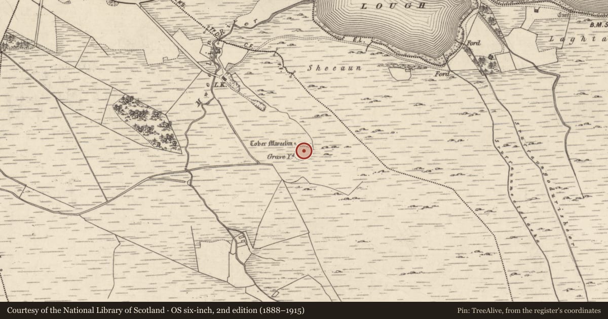 Ordnance Survey six-inch map, 2nd edition (1888–1915) covering the location of Graveyard, Mweelin, County Galway, with a pin at the register's coordinates