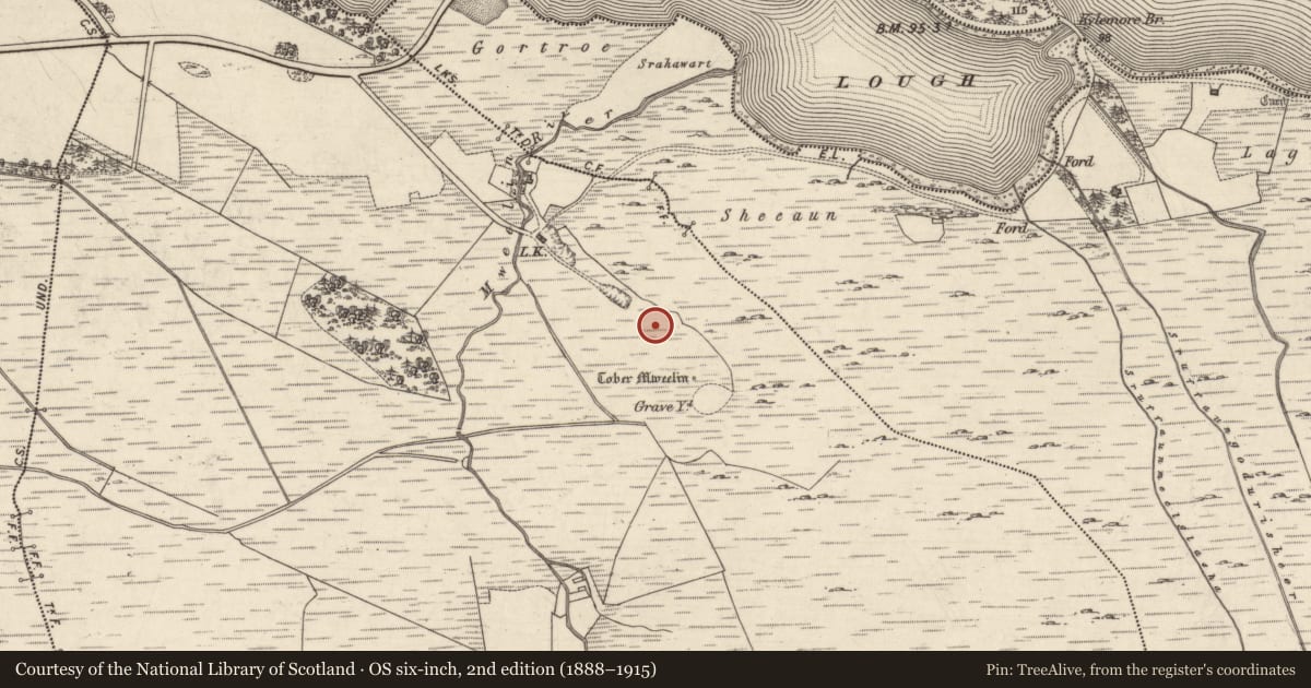 Ordnance Survey six-inch map, 2nd edition (1888–1915) covering the location of Megalithic tomb - court tomb, Mweelin, County Galway, with a pin at the register's coordinates