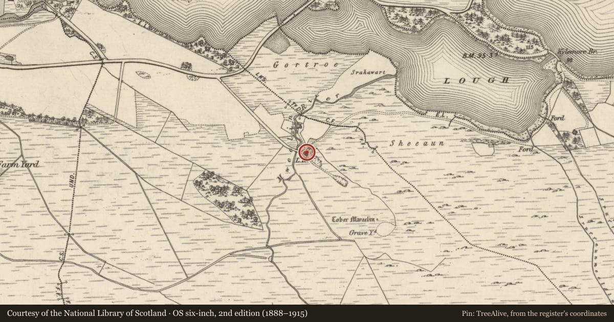 Ordnance Survey six-inch map, 2nd edition (1888–1915) covering the location of Kiln - lime, Mweelin, County Galway, with a pin at the register's coordinates