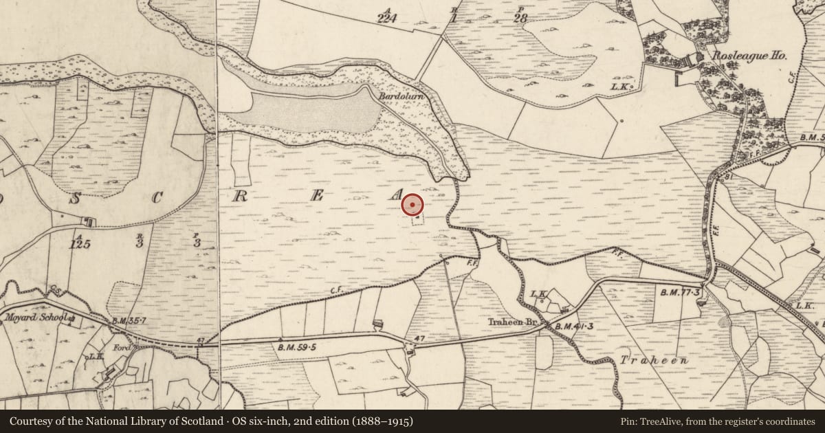Ordnance Survey six-inch map, 2nd edition (1888–1915) covering the location of Standing stone, Roscrea, County Galway, with a pin at the register's coordinates