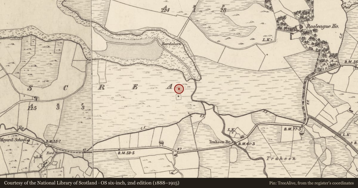 Ordnance Survey six-inch map, 2nd edition (1888–1915) covering the location of Enclosure, Roscrea, County Galway, with a pin at the register's coordinates