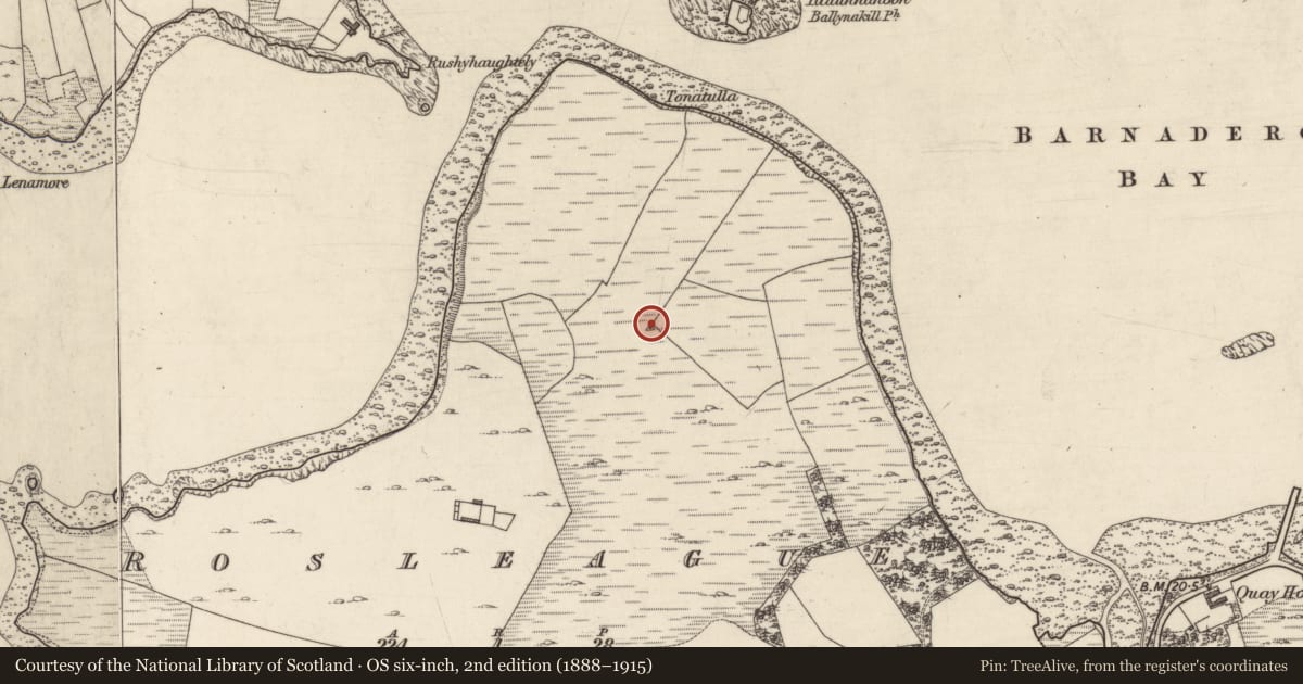 Ordnance Survey six-inch map, 2nd edition (1888–1915) covering the location of Standing stone, Rosleague, County Galway, with a pin at the register's coordinates