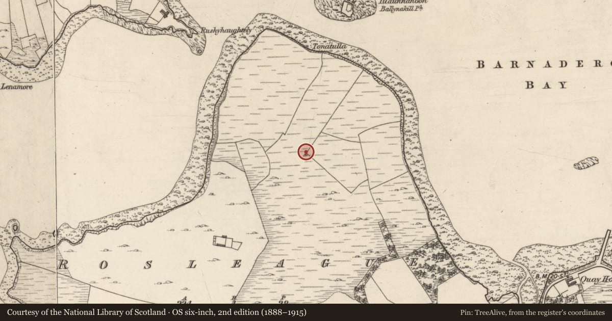 Ordnance Survey six-inch map, 2nd edition (1888–1915) covering the location of Enclosure, Rosleague, County Galway, with a pin at the register's coordinates