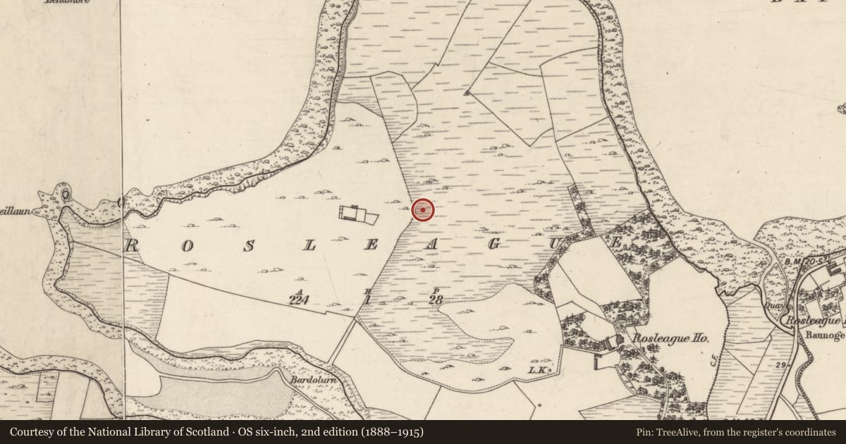 Ordnance Survey six-inch map, 2nd edition (1888–1915) covering the location of Enclosure, Rosleague, County Galway, with a pin at the register's coordinates