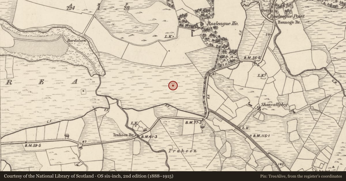 Ordnance Survey six-inch map, 2nd edition (1888–1915) covering the location of Standing stone, Rosleague, County Galway, with a pin at the register's coordinates