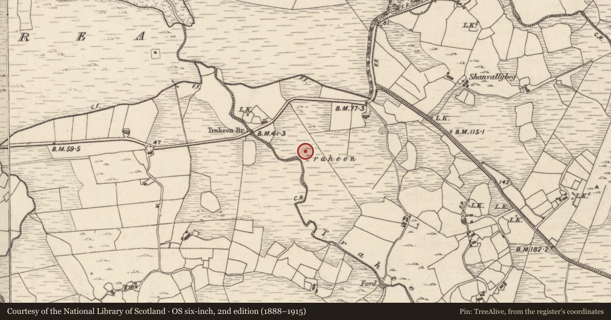 Ordnance Survey six-inch map, 2nd edition (1888–1915) covering the location of Quarry, Attirowerty, County Galway, with a pin at the register's coordinates