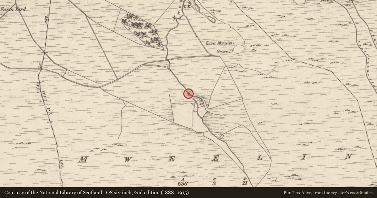 Ordnance Survey six-inch map, 2nd edition (1888–1915) covering the location of Field boundary, Mweelin, County Galway, with a pin at the register's coordinates