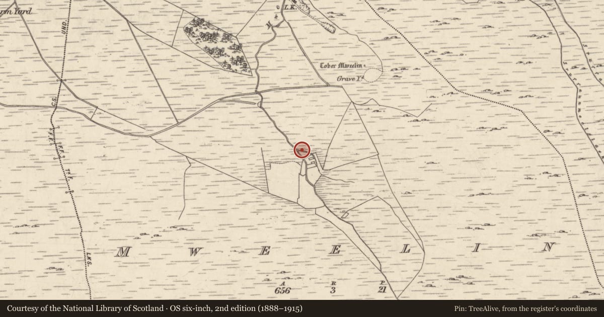 Ordnance Survey six-inch map, 2nd edition (1888–1915) covering the location of Hut site, Mweelin, County Galway, with a pin at the register's coordinates