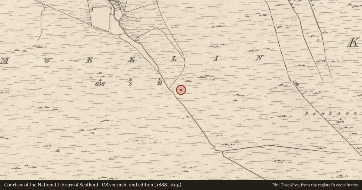 Ordnance Survey six-inch map, 2nd edition (1888–1915) covering the location of Hut site, Mweelin, County Galway, with a pin at the register's coordinates