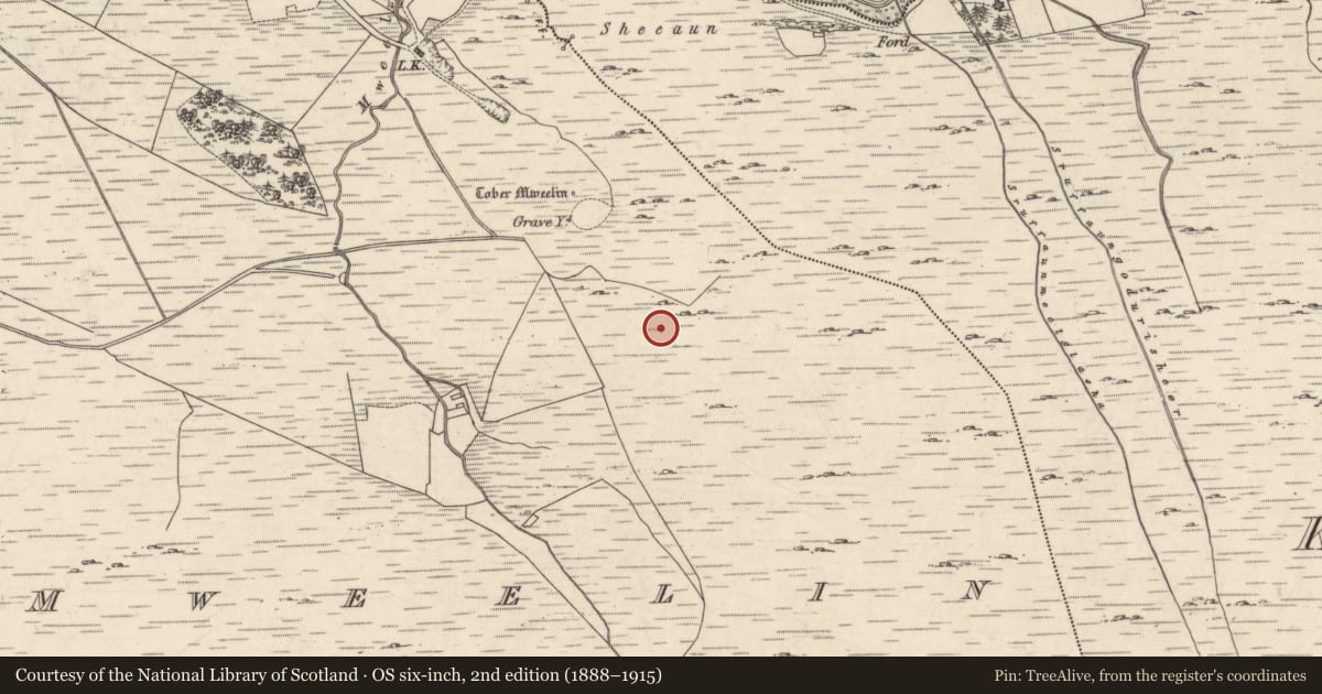 Ordnance Survey six-inch map, 2nd edition (1888–1915) covering the location of Hut site, Mweelin, County Galway, with a pin at the register's coordinates