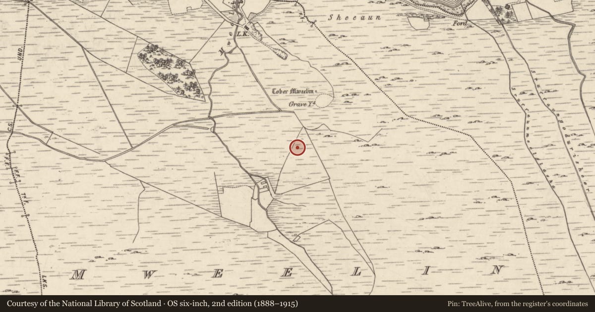 Ordnance Survey six-inch map, 2nd edition (1888–1915) covering the location of Standing stone - pair, Mweelin, County Galway, with a pin at the register's coordinates