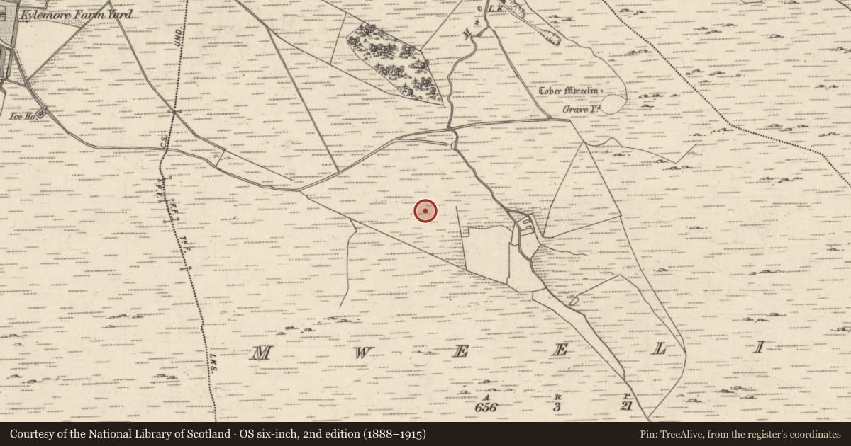 Ordnance Survey six-inch map, 2nd edition (1888–1915) covering the location of Field boundary, Mweelin, County Galway, with a pin at the register's coordinates