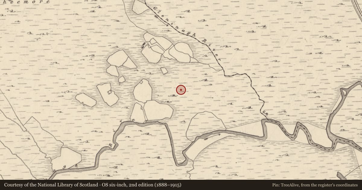 Ordnance Survey six-inch map, 2nd edition (1888–1915) covering the location of Stone row, Gleann Eidhneach (Par. Maigh Rois), County Galway, with a pin at the register's coordinates