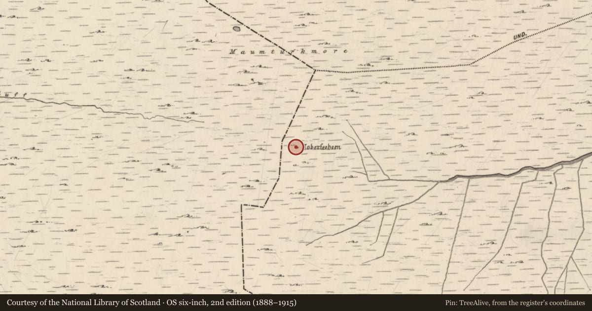 Ordnance Survey six-inch map, 2nd edition (1888–1915) covering the location of Ritual site - holy well, Gowlaunlee, County Galway, with a pin at the register's coordinates