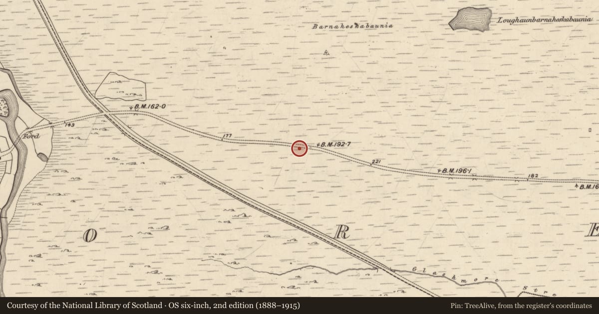 Ordnance Survey six-inch map, 2nd edition (1888–1915) covering the location of Cairn - wayside cairn, Kylemore, County Galway, with a pin at the register's coordinates